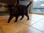 DSC07136.jpg