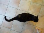 DSC07135.jpg