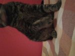 20151023_201141.jpg