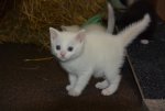DSC_7705.jpg