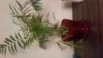 20151106_203017.jpg