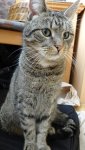DSC00448.JPG