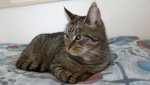 DSC00471.jpg