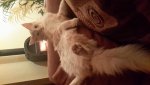 20151209_185924.jpg