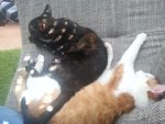 20140606_174443.jpg