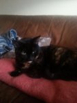 20151030_104019.jpg