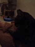 IMG_1411.jpg