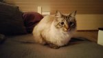 20160102_172937.jpg 20160102_172937.jpg