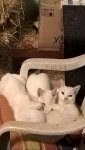IMG-20160102-WA0009.jpg