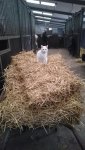 IMG-20160102-WA0007.jpg