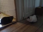 IMG_1467.jpg