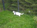 Urlaub 2011 im April 086.jpg