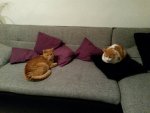20160102_234004.jpg