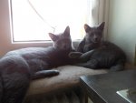 2013-07-27 17.36.57.jpg