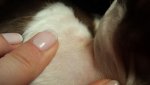 20160122_150707.jpg 20160122_150707.jpg