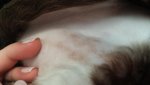 20160122_150836.jpg 20160122_150836.jpg