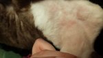 20160122_150843.jpg 20160122_150843.jpg