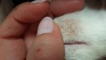 20160122_152641.jpg 20160122_152641.jpg