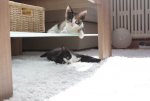Foto 2-5.JPG