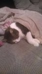 IMG-20160122-WA0000.jpg IMG-20160122-WA0000.jpg