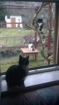 IMG-20160218-WA0000.jpg