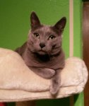 2016-02-25 20.41.55.jpg