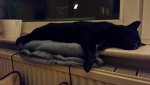 20151215_201214.jpg
