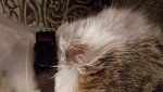 20160307_191012.jpg