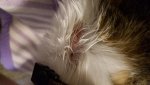 20160307_190943.jpg