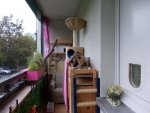 DSCN0045.jpg