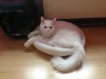 2013-04-27 09.23.29.jpg