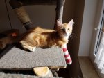 20160408_111045.jpg