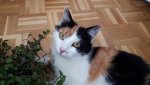 20160404_130155.jpg