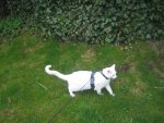 Urlaub 2011 im April 072.jpg