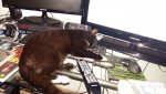20160417_220949.jpg