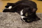 DSC00164.jpg