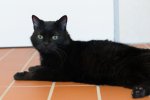 DSC_5160.jpg