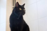 DSC_5119.jpg