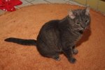 Lilly-fee-2.jpg