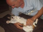 IMG_0686.jpg