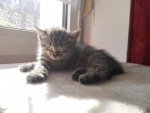 IMG_20160607_173401.jpg