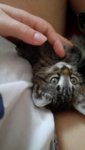 IMG-20160609-WA0007.jpg
