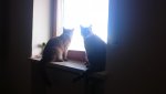 DSC_0041.jpg
