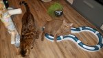 IMG-20160616-WA0019.jpg
