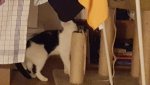 20160619_230405.jpg