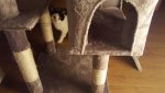 20160619_231157.jpg