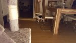 20160619_225614.jpg