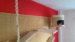 20160623_175240.jpg