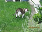 IMG_0767.jpg