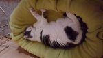 20160629_190122.jpg